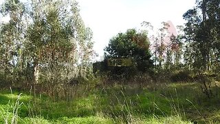 Land for sale in Bombarral, Portugal — €18,000