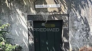 Terreno em Santa Cruz da Graciosa