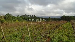 Land for sale in Alcobaça, Portugal — €25,000