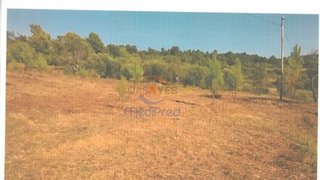 Land for sale in Tábua, Portugal — €77,500