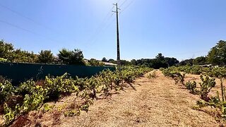 Land for sale in Abrantes, Portugal — €60,000