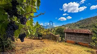 Land for sale in Baião, Portugal — €30,000