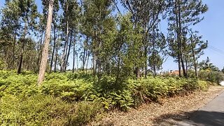 Land for sale in Oliveira do Bairro, Portugal — €60,000