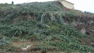 Land for sale in Guimarães, Portugal — €85,000