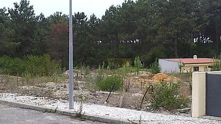 Land for sale in Ovar, Portugal — €55,000