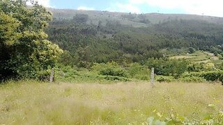 Land for sale in Marco de Canaveses, Portugal — €35,000