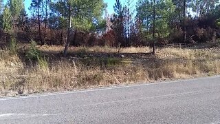 Land for sale in Mação, Portugal — €10,000