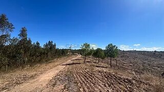 Terreno para venda em Avis, Portugal — 320 000 €