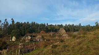 Land for sale in Castelo de Paiva, Portugal — €40,000