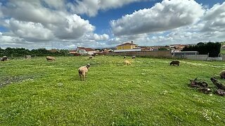 Land for sale in Torres Vedras, Portugal — €110,000