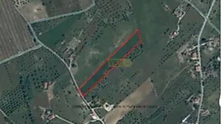 Terreno de 9840 m² em Santarém