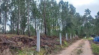 Land for sale in Ourém, Portugal — €45,000