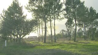 Land for sale in Salvaterra de Magos, Portugal — €100,000