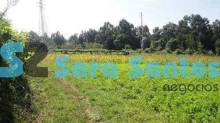 Land for sale in Santa Maria da Feira, Portugal — €220,000
