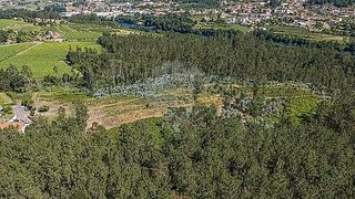 Land for sale in Barcelos, Portugal — €65,000