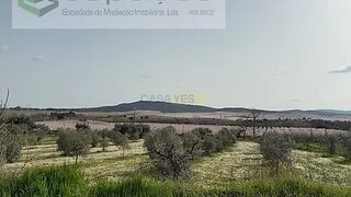 Terreno em Covilhã