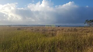 Land for sale in Ílhavo, Portugal — €75,000