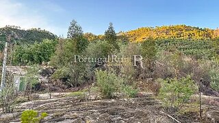 Terreno em Castelo Branco · 9500 m² · 28 000 €