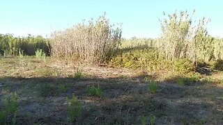Land for sale in Condeixa-a-Nova, Portugal — €449,500