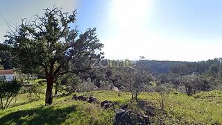 Land for sale in Sertã, Portugal — €19,000