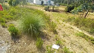 Terreno · 5900 m² · 100 000 €