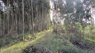 Land for sale in Montemor-o-Velho, Portugal — €49,000