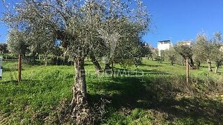 Terreno · 2363 m² · 45 000 €
