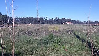 Land for sale in Oliveira do Bairro, Portugal — €150,000