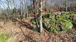 Terreno de 1680 m² em Viseu