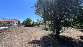 Land for sale in Tomar, Portugal — €67,000