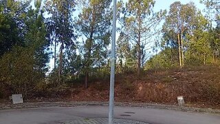 Land for sale in Oliveira de Azeméis, Portugal — €58,000