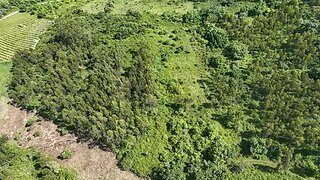 Land for sale in Mafra, Portugal — €30,000