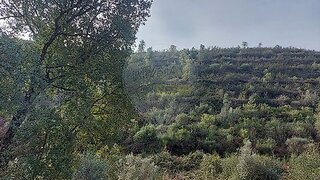 Land for sale in Sardoal, Portugal — €6,500