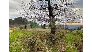 Land for sale in Sever do Vouga, Portugal — €15,000