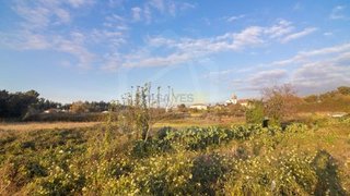 Land for sale in Oliveira de Azeméis, Portugal — €140,000