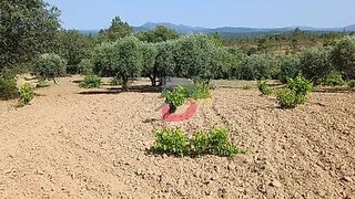 Terreno de 1800 m² em Castelo Branco