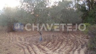 Land for sale in Tomar, Portugal — €8,000