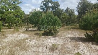 Land for sale in Grândola, Portugal — €220,000