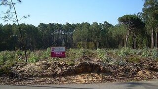 Terreno de 9200 m² em Leiria