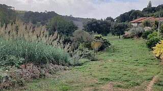 Land for sale in Alcobaça, Portugal — €80,000