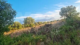 Land for sale in Torres Novas, Portugal — €9,000