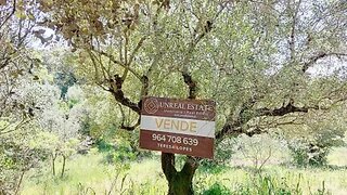 Land for sale in Torres Novas, Portugal — €7,900