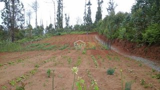 Land for sale in Calheta (Madeira), Portugal — €80,000