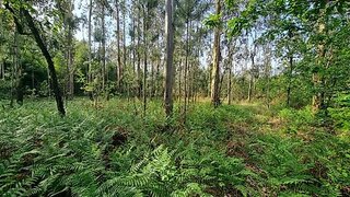 Terreno em Vila do Conde