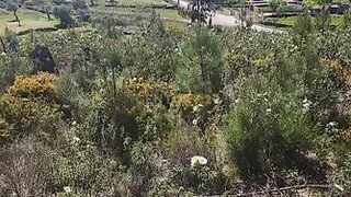 Land for sale in Castelo Branco, Portugal — €35,000