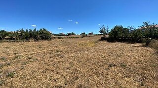 Terreno de 5500 m² em Bragança