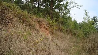 Land for sale in Águeda, Portugal — €105,000