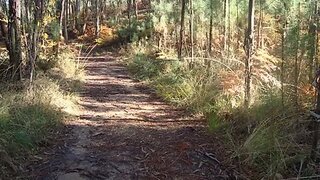 Terreno em Oliveira do Bairro
