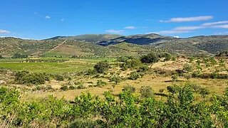 Land for sale in Torre de Moncorvo, Portugal — €216,000