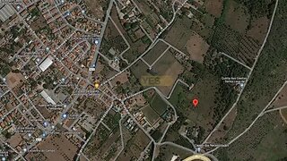 Terreno de 60 000 m² em Setúbal